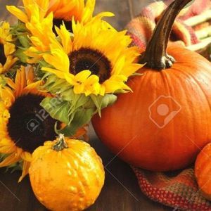 Meet your Posher, Maryfisher